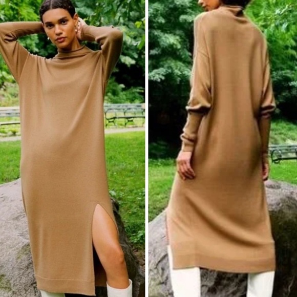 ARITZIA Wilfred Cyprie Sweater Dress - Picture 16 of 16